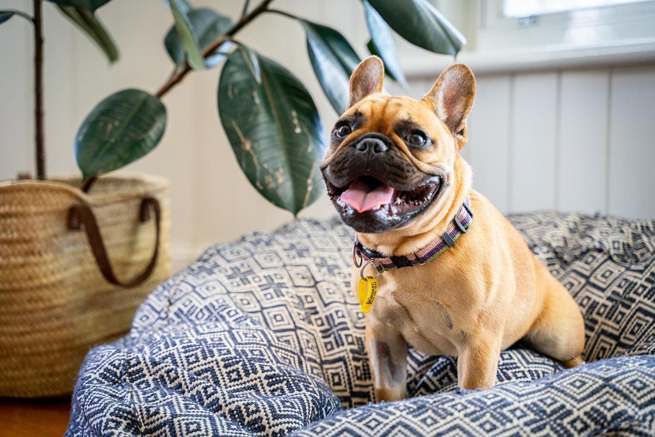 Boutique Stays - Roxys Place - Melbourne — Photos 2